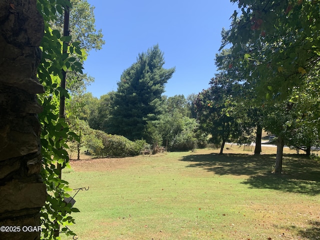 501 Saginaw Rd, Joplin, MO 64804 - view of green lawn