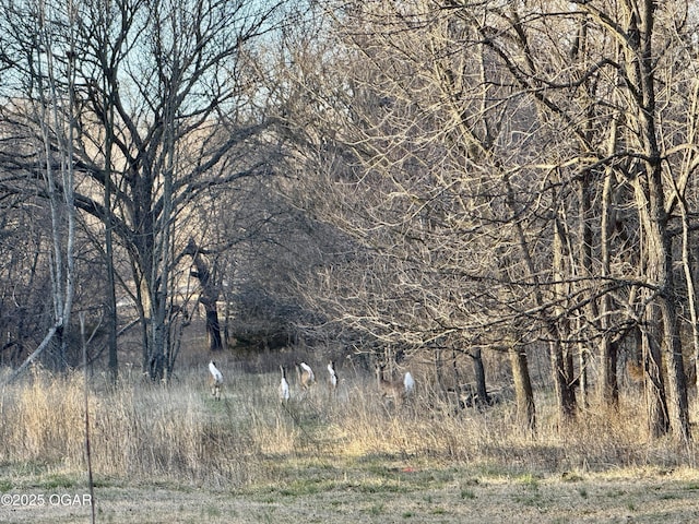 501 Saginaw Rd, Joplin, MO 64804 - view of local wilderness