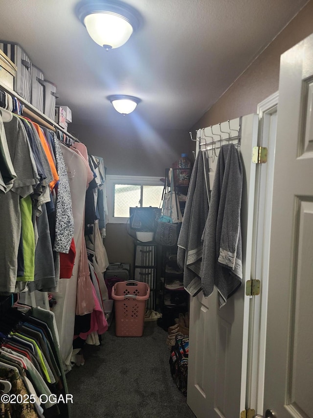 511 3rd St, Mccune, KS 66753 - walk in closet with carpet floors and lofted ceiling