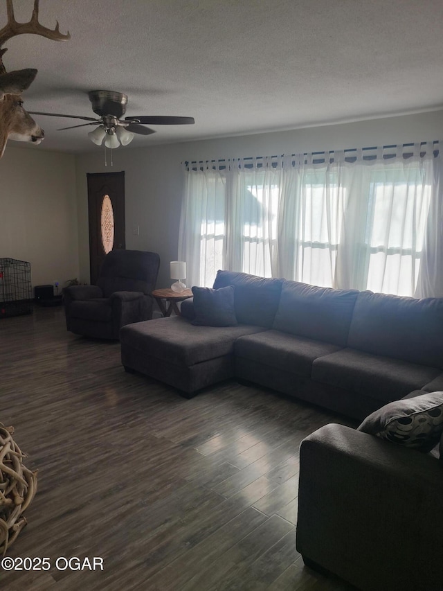 511 3rd St, Mccune, KS 66753 - living area with ceiling fan and dark wood-style flooring