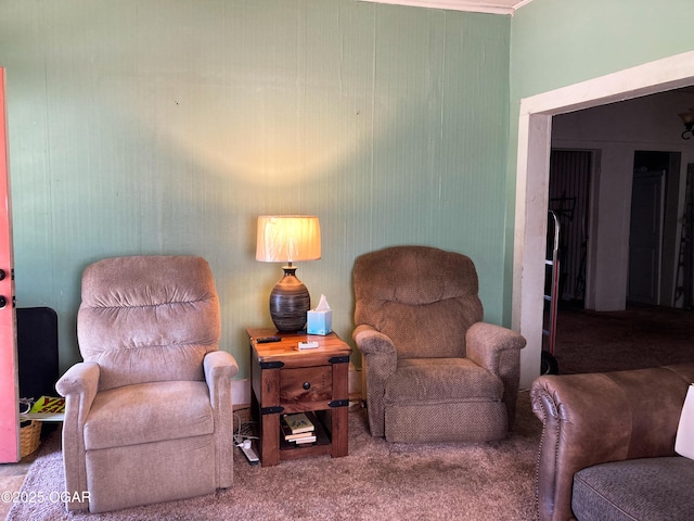 1017 E Broadway St, Joplin, MO 64801 - sitting room with carpet