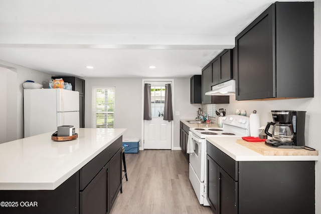 201 S Tom, Webb City, MO 64870 - kitchen featuring white appliances, under cabinet range hood, light wood-type flooring, light countertops, and recessed lighting
