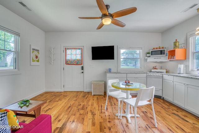 204W9TH & Ave, Baxter Springs, KS 66713 - dining space with plenty of natural light, light wood-style floors, and ceiling fan