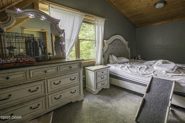 3219 Hughes Ave, Parsons, KS 67357 - bedroom with lofted ceiling, wooden ceiling, and carpet floors