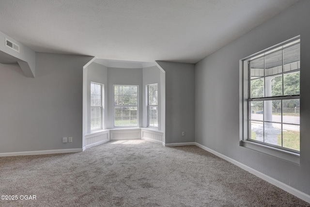 109 N Main St, Alba, MO 64830 - empty room with carpet and baseboards
