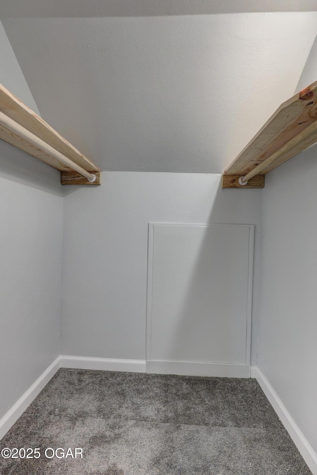 109 N Main St, Alba, MO 64830 - spacious closet with carpet