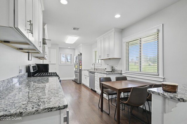 5594 Riverside Dr, Joplin, MO 64804 - kitchen featuring stainless steel appliances, healthy amount of natural light, white cabinetry, dark wood finished floors, and recessed lighting