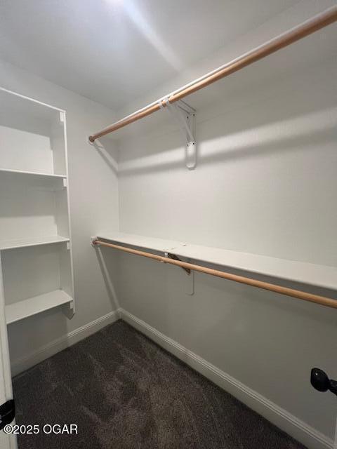 305 Ashmore Dr, Carl Junction, MO 64834 - walk in closet with dark colored carpet