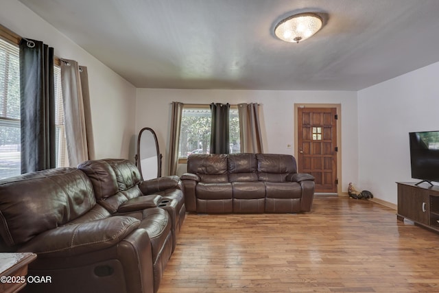 430 N Jackson Ave, Joplin, MO 64801 - living room featuring light wood-type flooring