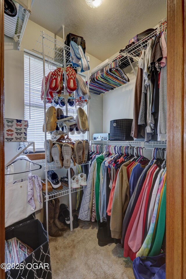 610 N Madison St, Webb City, MO 64870 - walk in closet with carpet