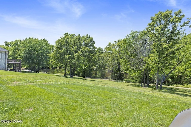 3802 Fawn Trl, Joplin, MO 64804 - view of grassy yard