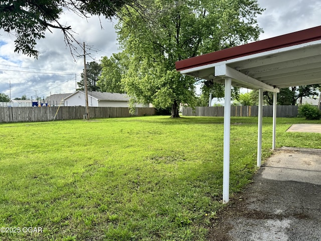 2119 S Main St, Carthage, MO 64836 - view of yard