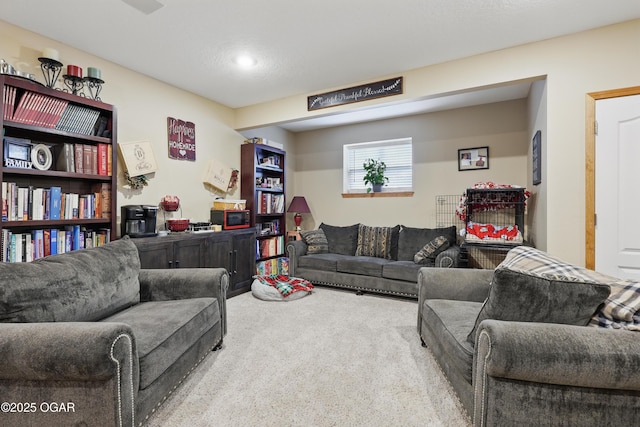 702 Copper Oaks Dr, Carl Junction, MO 64834 - living area with carpet floors and recessed lighting