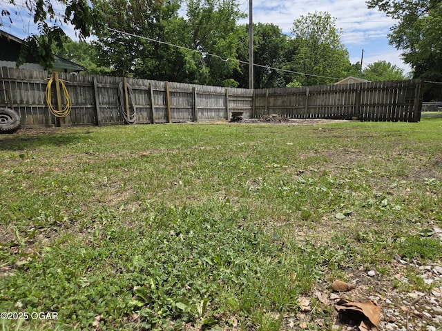 423 Mower St, Duenweg, MO 64841 - view of yard