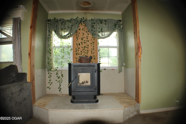 423 Mower St, Duenweg, MO 64841 - detailed view of a wood stove