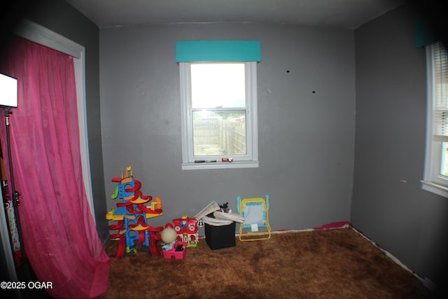 423 Mower St, Duenweg, MO 64841 - rec room with carpet floors and plenty of natural light