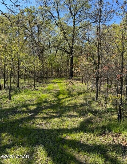 2309 S 680th Rd, Quapaw, OK 74363