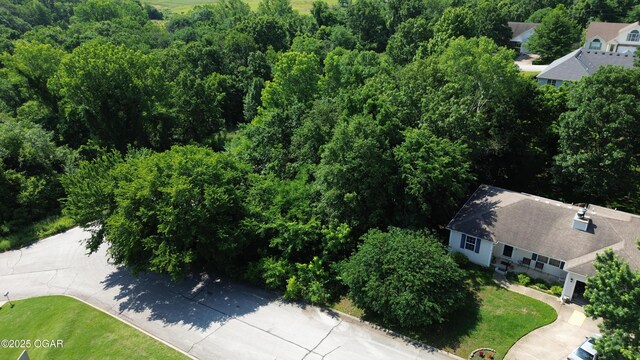 1706 Redbud Dr, Joplin, MO 64801 - photo 4