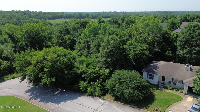 1706 Redbud Dr, Joplin, MO 64801 - photo 5