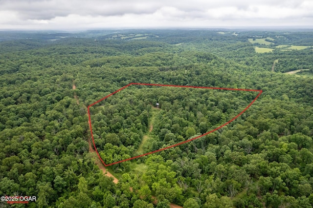 14.5 Neil Robinson Rd, Anderson, MO 64831