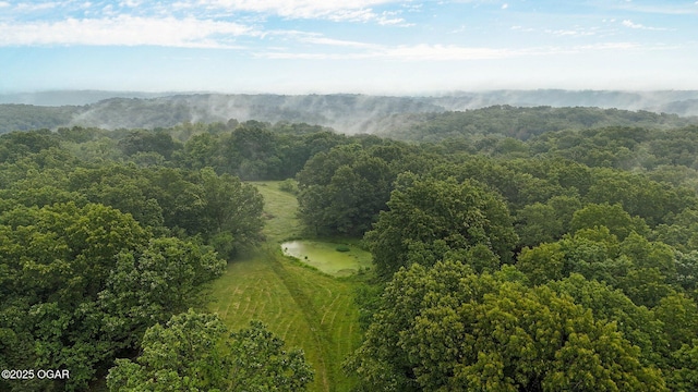 3759 Wheeler Branch Rd, Crane, MO 65633 - drone / aerial view of a heavily wooded area