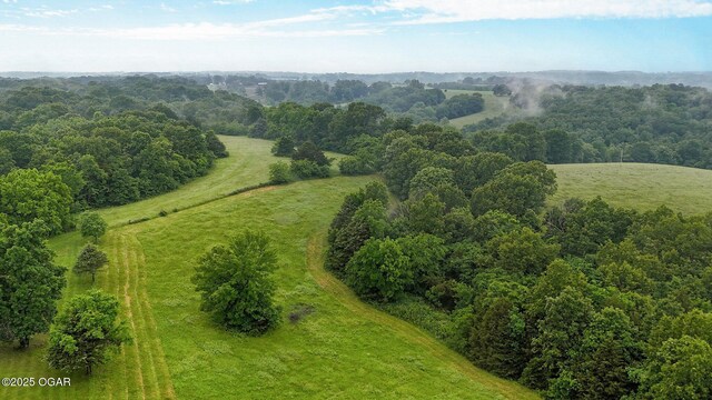 3759 Wheeler Branch Rd, Crane, MO 65633 - drone / aerial view of a heavily wooded area