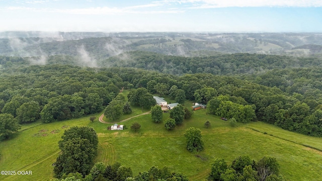 3759 Wheeler Branch Rd, Crane, MO 65633 - view of rural area with a heavily wooded area