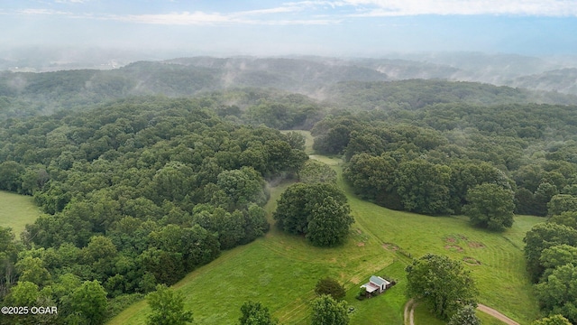 3759 Wheeler Branch Rd, Crane, MO 65633 - aerial view of sparsely populated area with a mountain backdrop and a heavily wooded area
