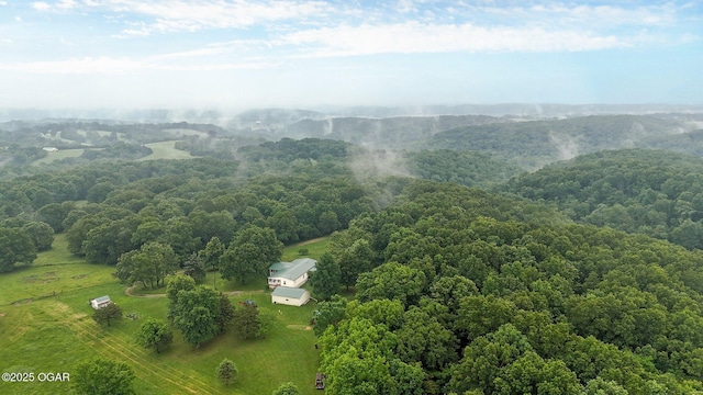 3759 Wheeler Branch Rd, Crane, MO 65633 - view of rural area with a heavily wooded area
