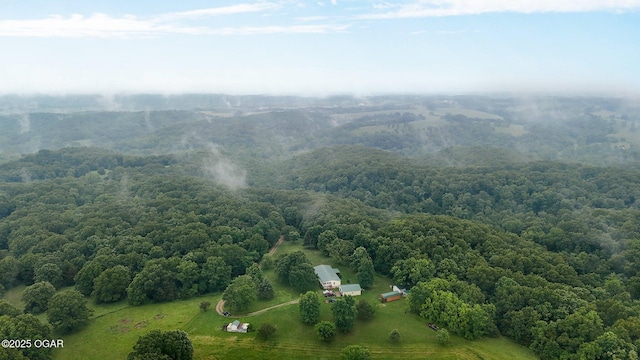 3759 Wheeler Branch Rd, Crane, MO 65633 - view of rural area featuring a heavily wooded area