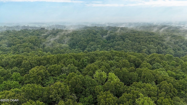 3759 Wheeler Branch Rd, Crane, MO 65633 - mountain view featuring a heavily wooded area