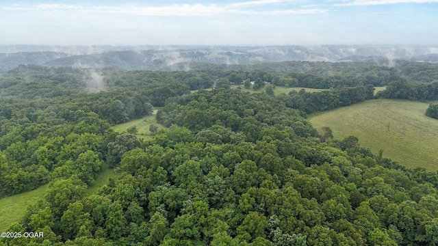 3759 Wheeler Branch Rd, Crane, MO 65633 - drone / aerial view of a forest