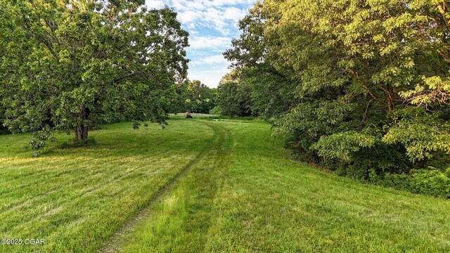 3759 Wheeler Branch Rd, Crane, MO 65633 - view of grassy yard