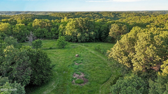 3759 Wheeler Branch Rd, Crane, MO 65633 - aerial view of property and surrounding area with a forest