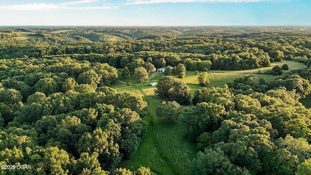3759 Wheeler Branch Rd, Crane, MO 65633 - drone / aerial view of a forest