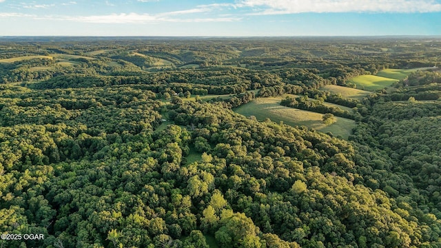 3759 Wheeler Branch Rd, Crane, MO 65633 - aerial view of property and surrounding area with a forest