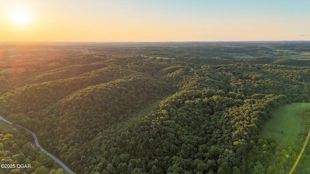 3759 Wheeler Branch Rd, Crane, MO 65633 - aerial view of a heavily wooded area