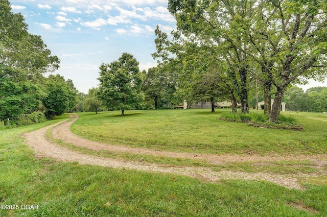 3759 Wheeler Branch Rd, Crane, MO 65633 - view of grassy yard