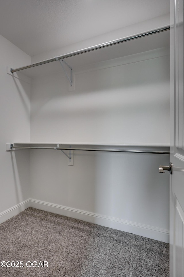 spacious closet featuring carpet