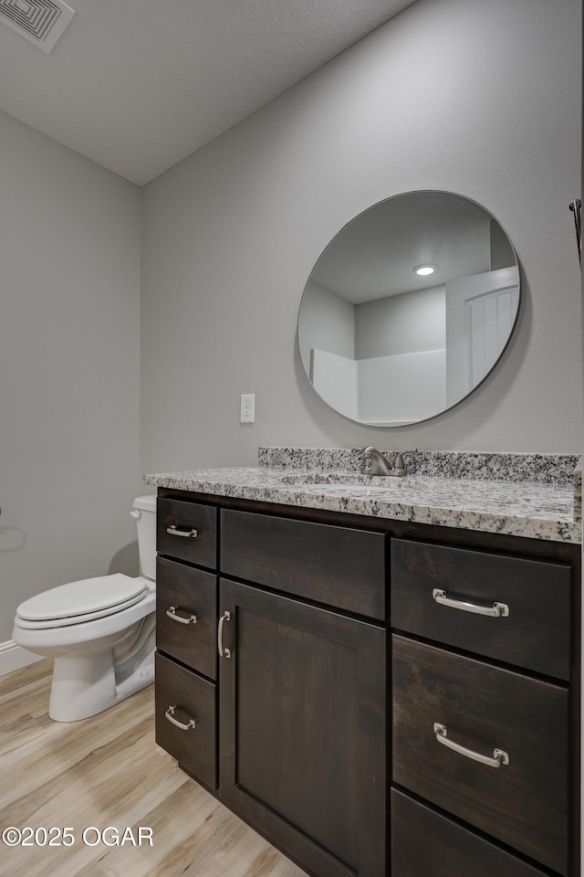 bathroom featuring wood finished floors and vanity