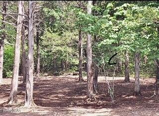 TBD Oaks Landing Dr, Eureka Springs, AR 72631 - photo 2