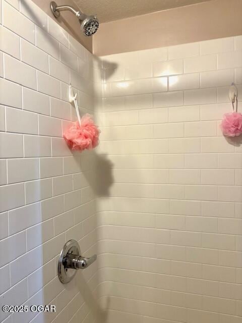 1300 S Baker Blvd, Carthage, MO 64836 - bathroom view of a shower