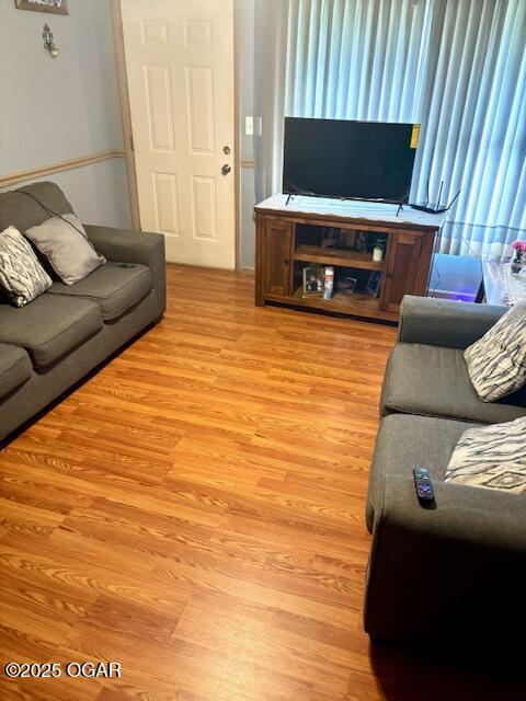 1300 S Baker Blvd, Carthage, MO 64836 - living room featuring light wood-type flooring