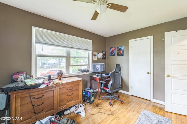 1426 Greenwood Blvd, Neosho, MO 64850 - office with light wood-type flooring, ceiling fan, and baseboards