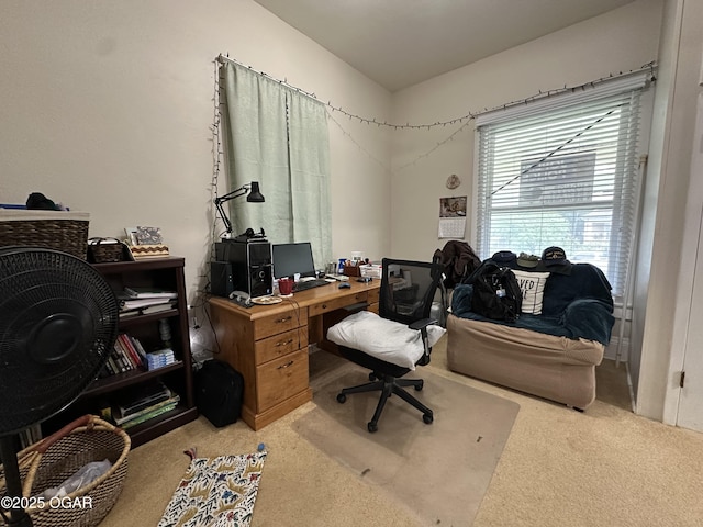 2022 S Jackson Ave, Joplin, MO 64804 - view of carpeted office