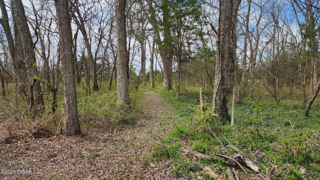 2357 160, Columbus, KS 66725 - photo 27