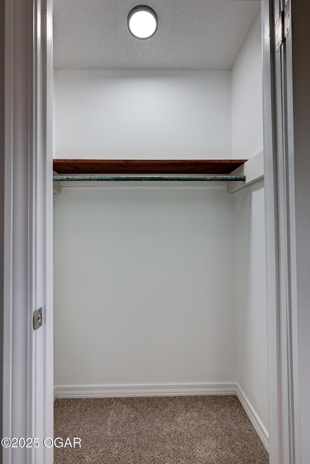 720 Sheridan Ave, Carl Junction, MO 64834 - walk in closet with carpet floors