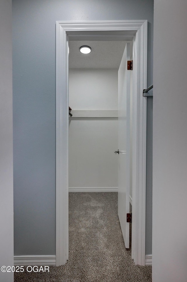 720 Sheridan Ave, Carl Junction, MO 64834 - walk in closet featuring carpet