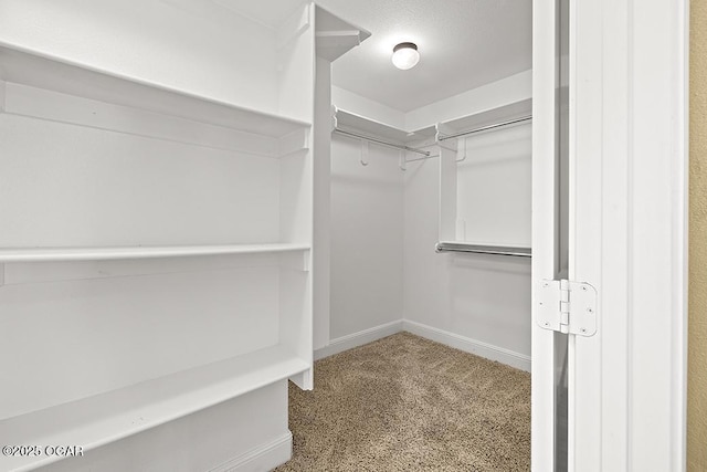 111 Zachary Ln, Carl Junction, MO 64834 - walk in closet featuring carpet floors