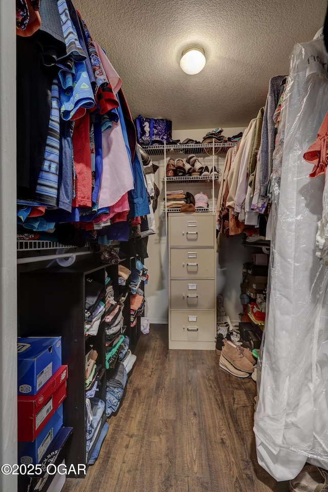 9511 County Lane 191, Carthage, MO 64836 - spacious closet with wood finished floors